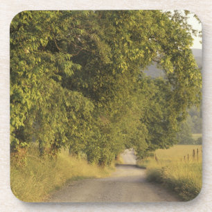 VS, Tennessee, Great Smoky Mountains National 2 Bier Onderzetter