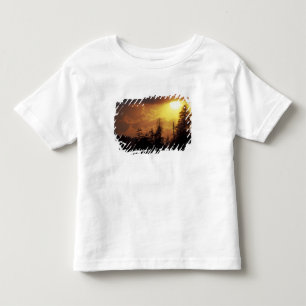 VS, Tennessee, Great Smoky Mountains NP. 2 Kinder Shirts