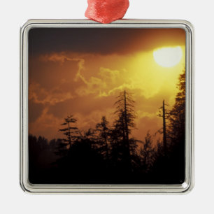 VS, Tennessee, Great Smoky Mountains NP. 2 Metalen Ornament