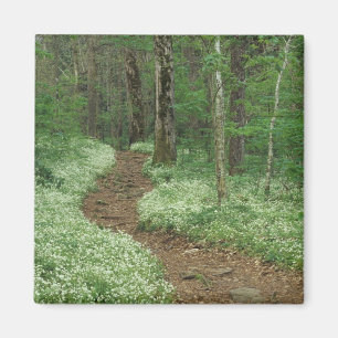 VS, Tennessee, Great Smoky Mountains NP, 3 Magneet
