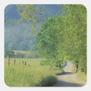 VS, Tennessee, Great Smoky Mountains NP, Vierkante Sticker