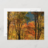 VS, Tennessee. Herfst Foliage Briefkaart (Voorkant / Achterkant)
