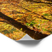 VS, Tennessee. Herfst Foliage Poster (Hoek)