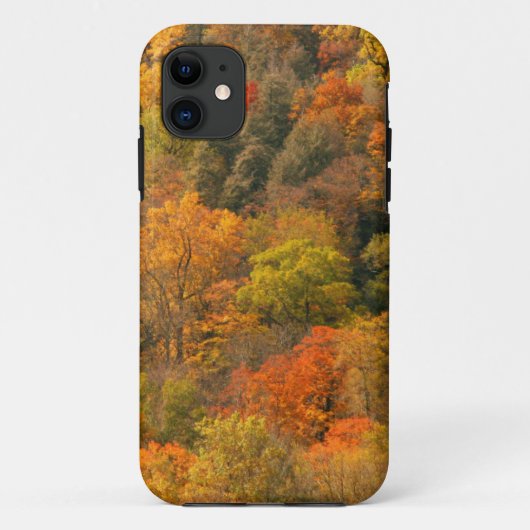VS, Tennessee. Herfstblad 2 Case-Mate iPhone Case (Achterkant)