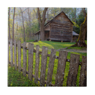 VS, Tennessee, Hut in Cades Cove Tegeltje