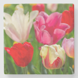 VS, Tennessee, Nashville Stenen Onderzetter