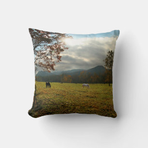 VS, Tennessee. Paarden in Cades Cove-vallei Kussen