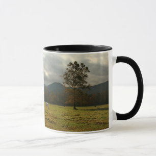 VS, Tennessee. Paarden in Cades Cove-vallei Mok