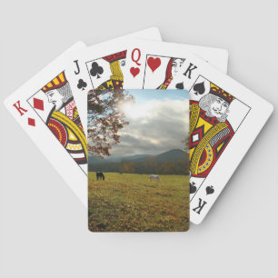 VS, Tennessee. Paarden in Cades Cove-vallei Pokerkaarten