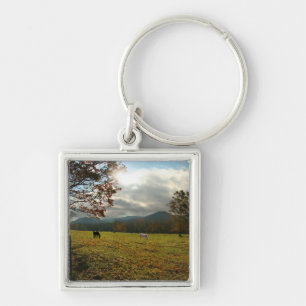 VS, Tennessee. Paarden in Cades Cove-vallei Sleutelhanger