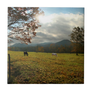 VS, Tennessee. Paarden in Cades Cove-vallei Tegeltje