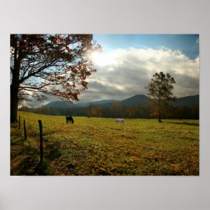 VS, Tennessee. Paarden in de Cades Cove Valley Poster