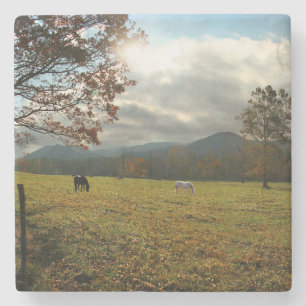 VS, Tennessee. Paarden in de Cades Cove Valley Stenen Onderzetter