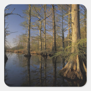VS, Tennessee. Reelfoot National Wildlife Vierkante Sticker