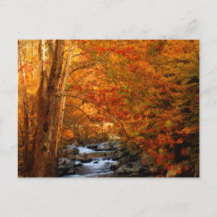 VS, Tennessee. Rushing Mountain Creek 2 Briefkaart