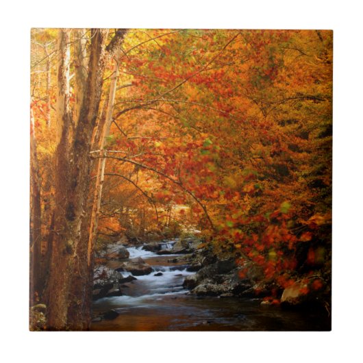 VS, Tennessee. Rushing Mountain Creek 2 Tegeltje (Voorkant)