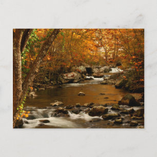 VS, Tennessee. Rushing Mountain Creek 3 Briefkaart