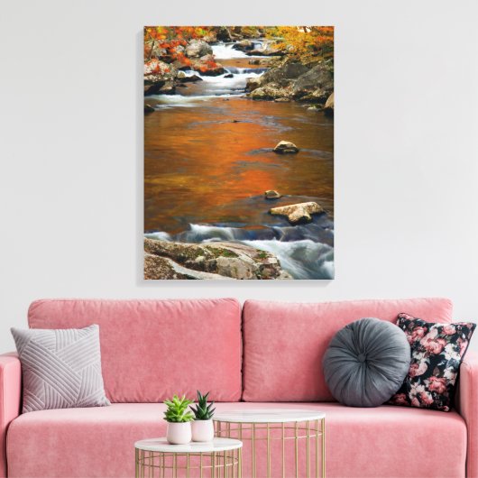 VS, Tennessee. Rushing Mountain Creek 4 Canvas Afdruk (Insitu (Woonkamer))