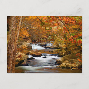 VS, Tennessee. Rushing Mountain Creek Briefkaart