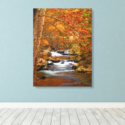 VS, Tennessee. Rushing Mountain Creek Canvas Afdruk (Insitu (Houten vloer))