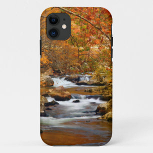 VS, Tennessee. Rushing Mountain Creek iPhone 11 Hoesje