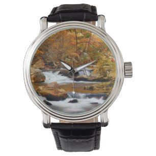 VS, Tennessee. Rushing Mountain Creek Horloge
