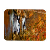 VS, Tennessee. Rushing Mountain Creek Magneet (Horizontaal)