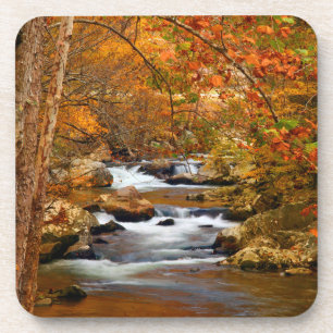 VS, Tennessee. Rushing Mountain Creek Onderzetter