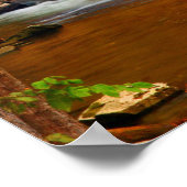 VS, Tennessee. Rushing Mountain Creek Poster (Hoek)