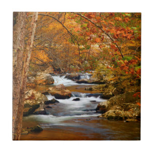 VS, Tennessee. Rushing Mountain Creek Tegeltje