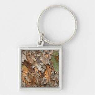 VS, Tennessee, sluit schors op een boom Sleutelhanger