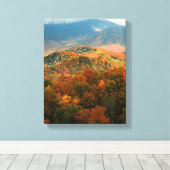 VS, Tennessee. Uitzicht Snowy Mount Leconte Canvas Afdruk (Insitu (Houten vloer))