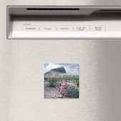 VS, Texas, Big Bend National Park. Blooming Magneet (Insitu (Vaatwasser))