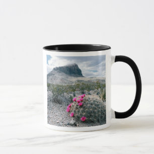 VS, Texas, Big Bend National Park. Blooming Mok