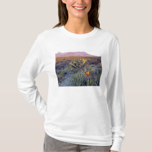 VS, Texas, Big Bend NP. Een zanderige roze schemer T-shirt