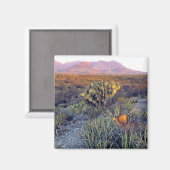 VS, Texas, Big Bend NP. Een zandroze schemering Magneet (Voorkant / Achterkant)