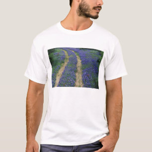 VS, Texas, bij Marble Falls, Sporen in het blauw T-shirt