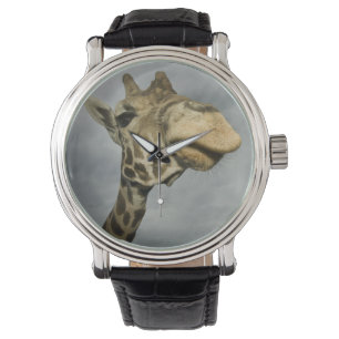 VS, Texas, Fossil Rim Wildlife Area, giraffe Horloge