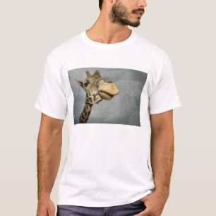 VS, Texas, Fossil Rim Wildlife Area, giraffe T-shirt