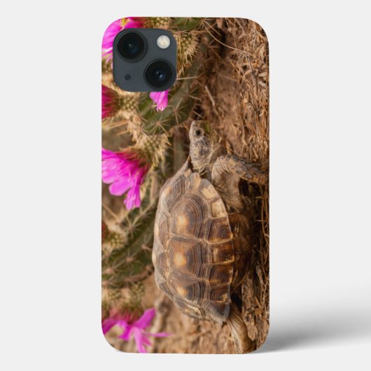 VS, Texas, Hidalgo County. Tortoise Case-Mate iPhone Case (Achterkant)