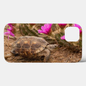 VS, Texas, Hidalgo County. Tortoise Case-Mate iPhone Case (Achterkant (horizontaal))