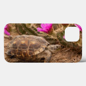 VS, Texas, Hidalgo County. Tortoise Case-Mate iPhone Case (Achterkant (horizontaal))