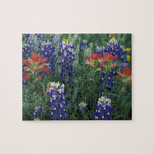 VS, Texas Hill Country. Blauwbijen en blauwvintoni Legpuzzel