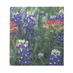 VS, Texas Hill Country. Blauwe luppines en Notitieblok