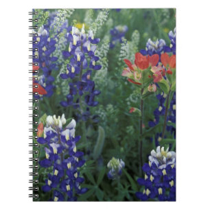 VS, Texas Hill Country. Blauwe luppines en Notitieboek
