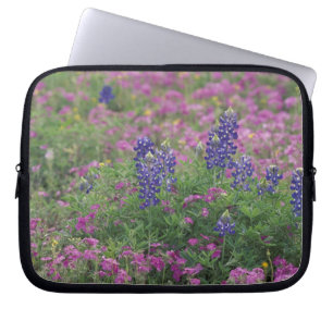 VS, Texas Hill Country. Bluebonnets tussen phlox Laptop Sleeve