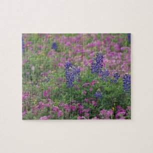 VS, Texas Hill Country. Bluebonnets tussen phlox Legpuzzel