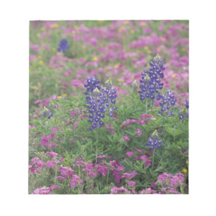 VS, Texas Hill Country. Bluebonnets tussen phlox Notitieblok