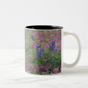 VS, Texas Hill Country. Bluebonnets tussen phlox Tweekleurige Koffiemok