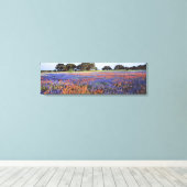 VS, Texas, Llano. Blauwbijen en robeboten Canvas Afdruk (Insitu (Houten vloer))